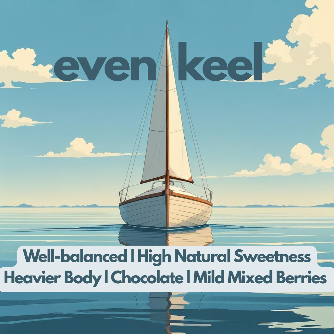 Even Keel Blend - Medium Roast image