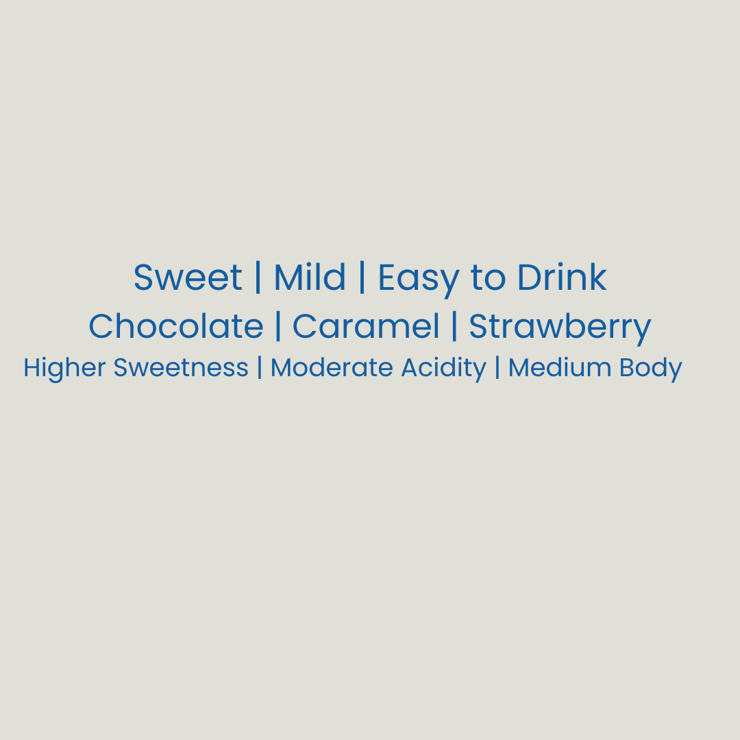 Ketch Coffee Roasters product image with flavor notes: sweet, mild, easy to drink, chocolate, caramel, and strawberry