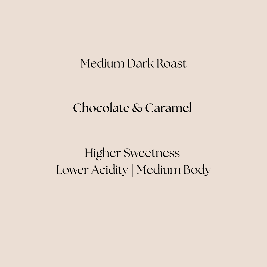 Ketch Coffee Roasters product image for medium dark roast Legacy Farms Honduras coffee with flavor notes of chocolate and caramel.