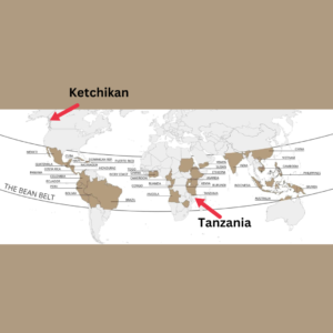 World map with arrows pointing to Ketchikan and Tanzania on a beige background