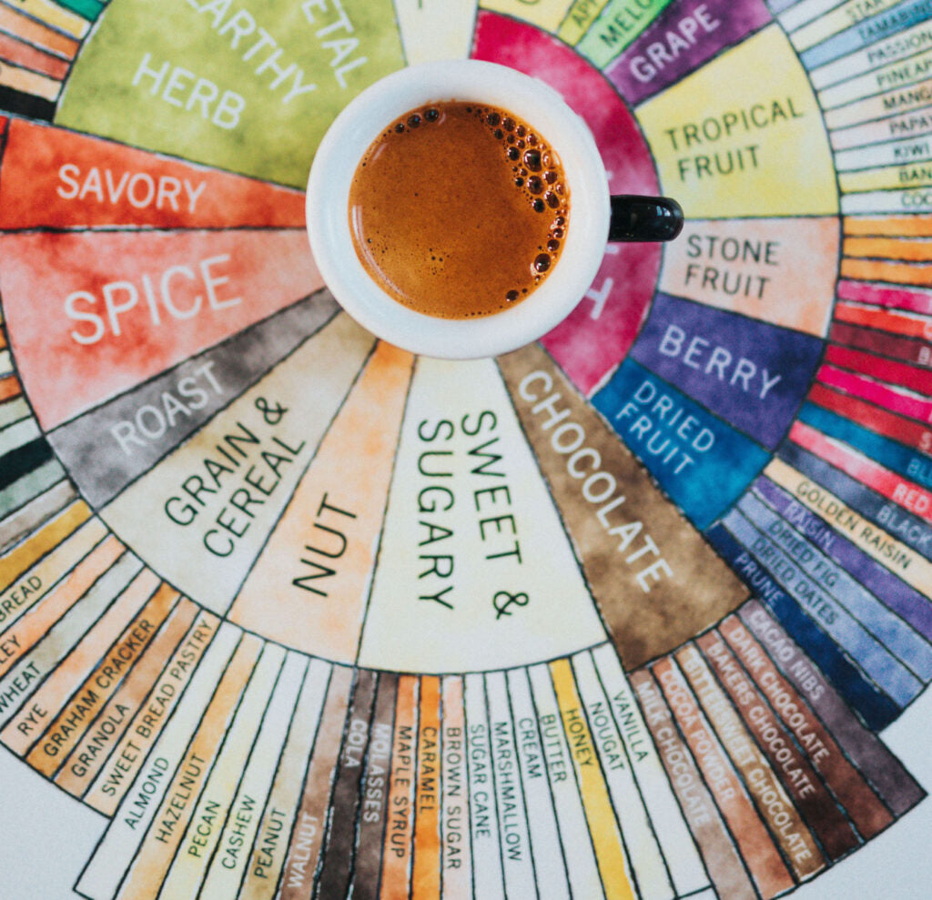 What are tasting notes?