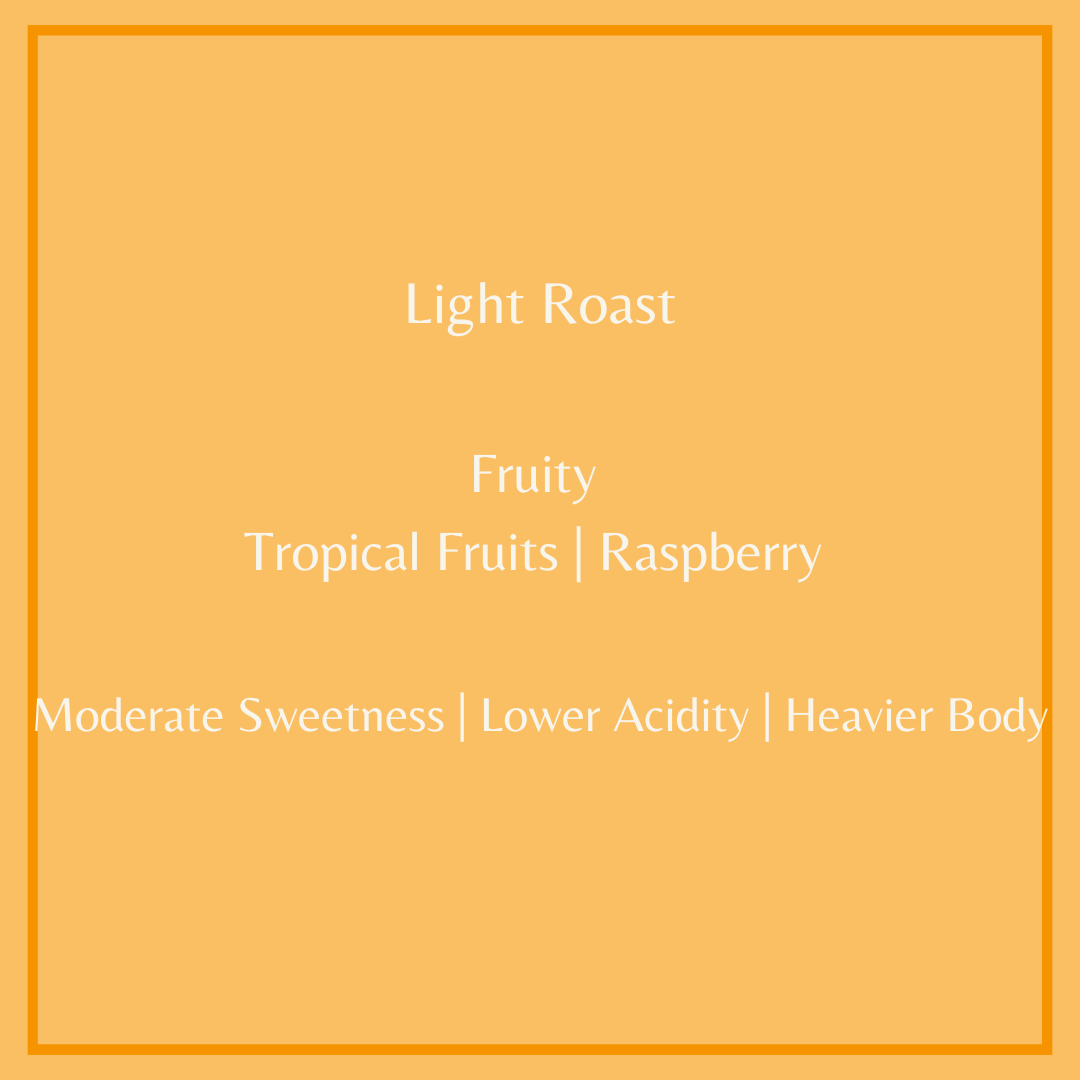 Text describing this light roast natural decaf with flavor notes of tropical fruits and raspberries 