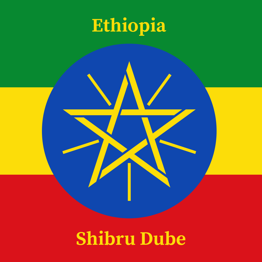 Flag of Ethiopia with a blue circle featuring a yellow star and text 'Shibru Dube'.