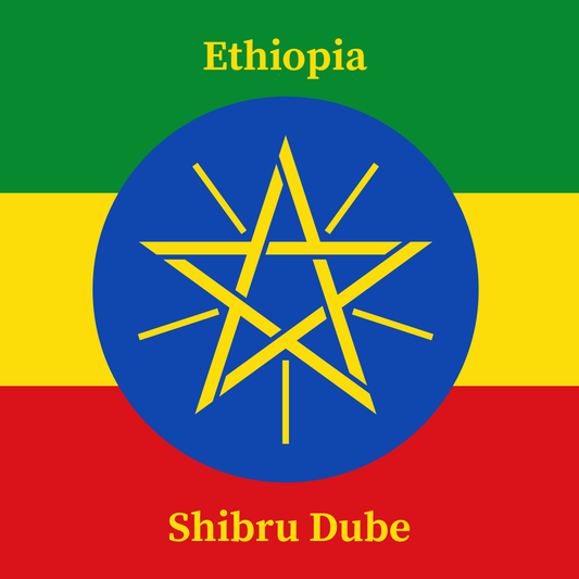 Flag of Ethiopia with a blue circle featuring a yellow star and text 'Shibru Dube'.