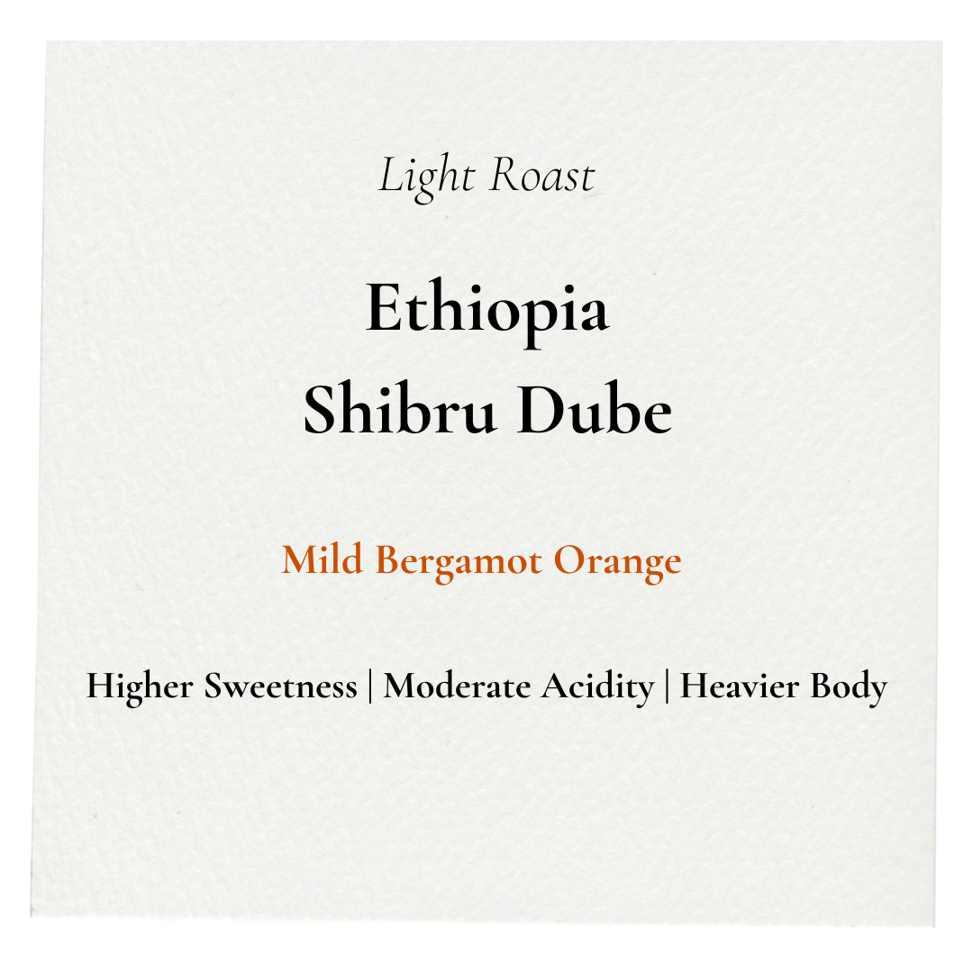 Coffee label for Ethiopia Shibru Dube with roast and flavor description on a white background.  Mild bergamot orange.