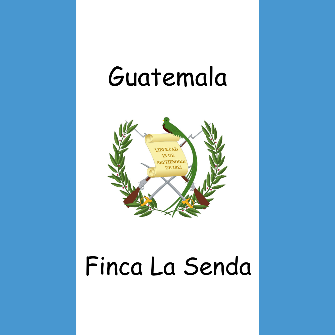Flag of Guatemala with 'Finca La Senda' text on a blue and white background.  Ketch Coffee Roasters product image