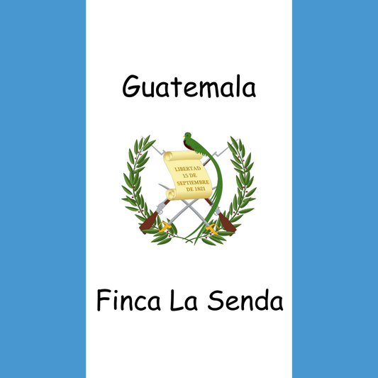 Flag of Guatemala with 'Finca La Senda' text on a blue and white background.  Ketch Coffee Roasters product image