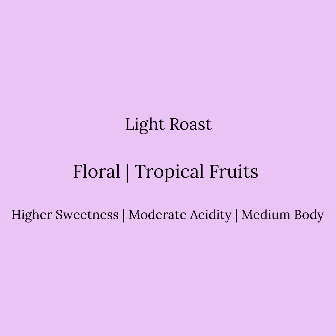 Text on a pink background describing light roast coffee with floral and tropical fruit notes.