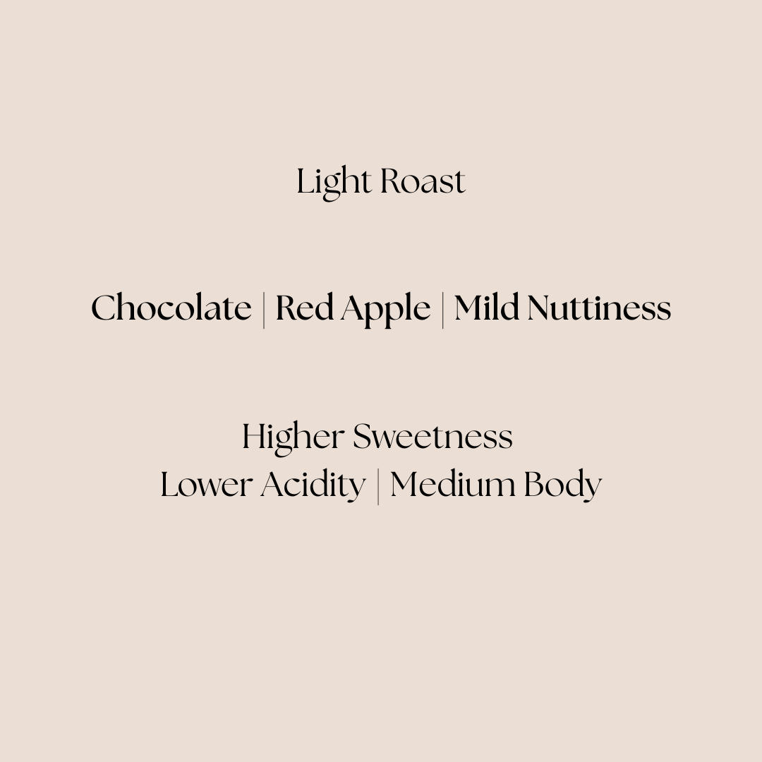 Ketch Coffee Roasters product image for light roast Legacy Farms Honduras coffee with flavor notes of chocolate, caramel, very mild, and easy to drink.