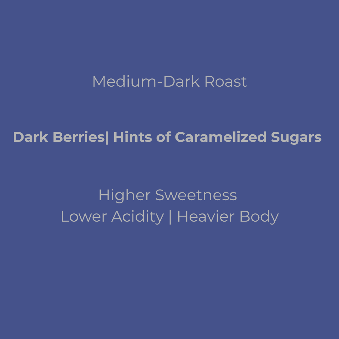 Text description of coffee flavor profile on a blue background.  Medium-Dark Roast with flavor description of dark berries and hints of caramelized sugars.