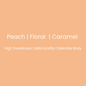 Peach, floral, caramel flavor profile on a peach background